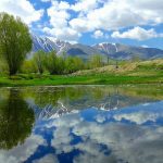 IMG_20201113_122937_937